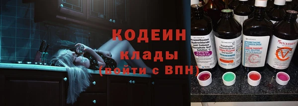 стаф Елабуга