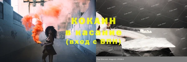 трава Елизово