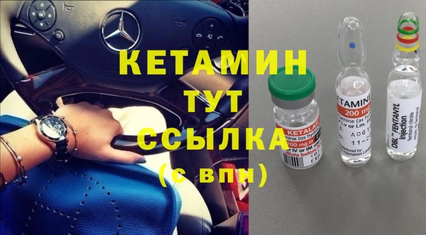 трава Елизово