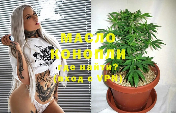 mix Ельня