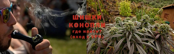 трава Елизово
