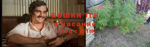 трава Елизово