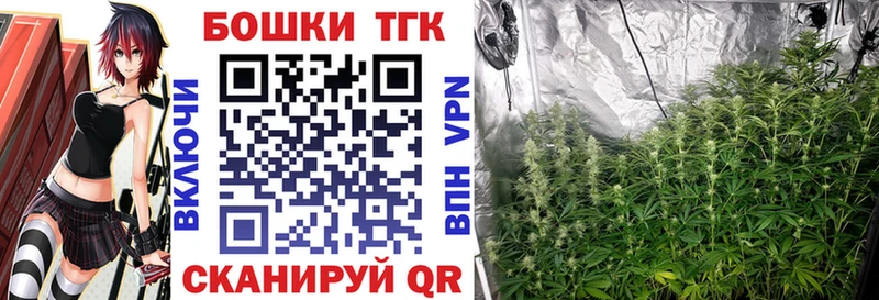 Бошки Шишки планчик  Купить  Чаплыгин 